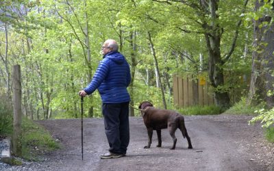 Keswick: The Most Dog-friendly Capital in the UK